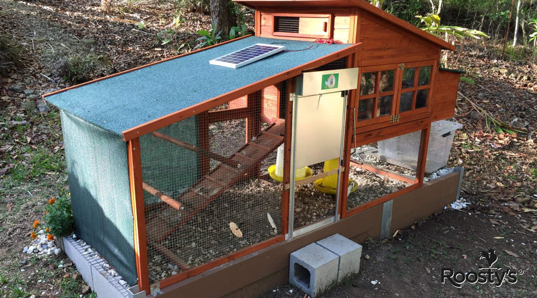 The Best Automatic Chicken Coop Door