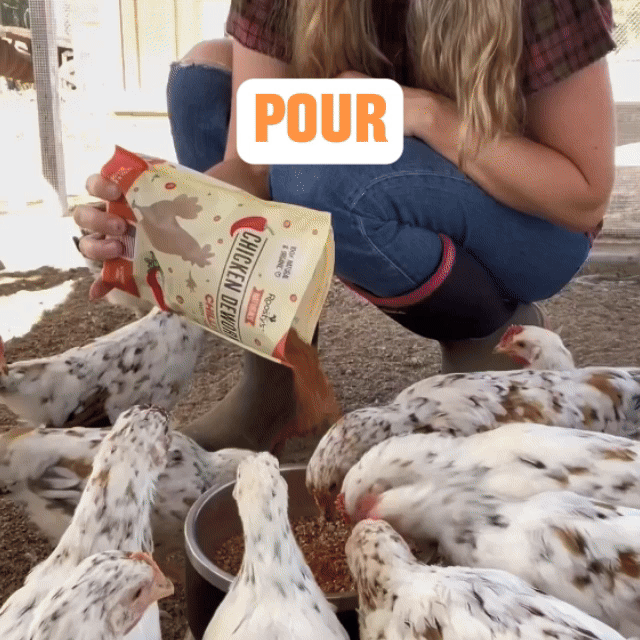 Daily Deworm + Gut Support