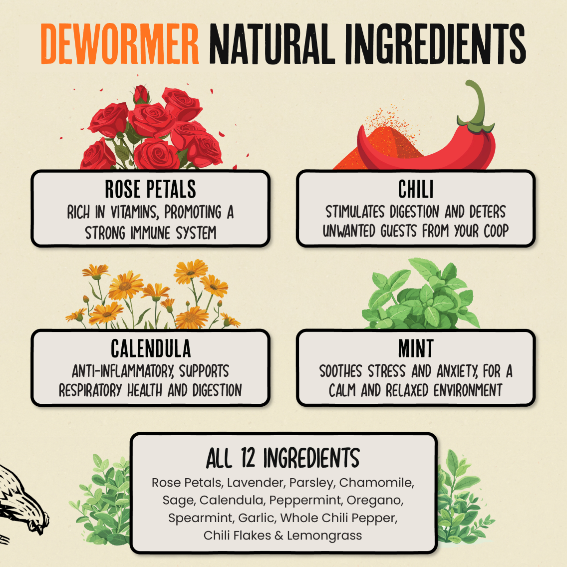 The Protect Pack - Immunity Booster + Chicken Dewormer