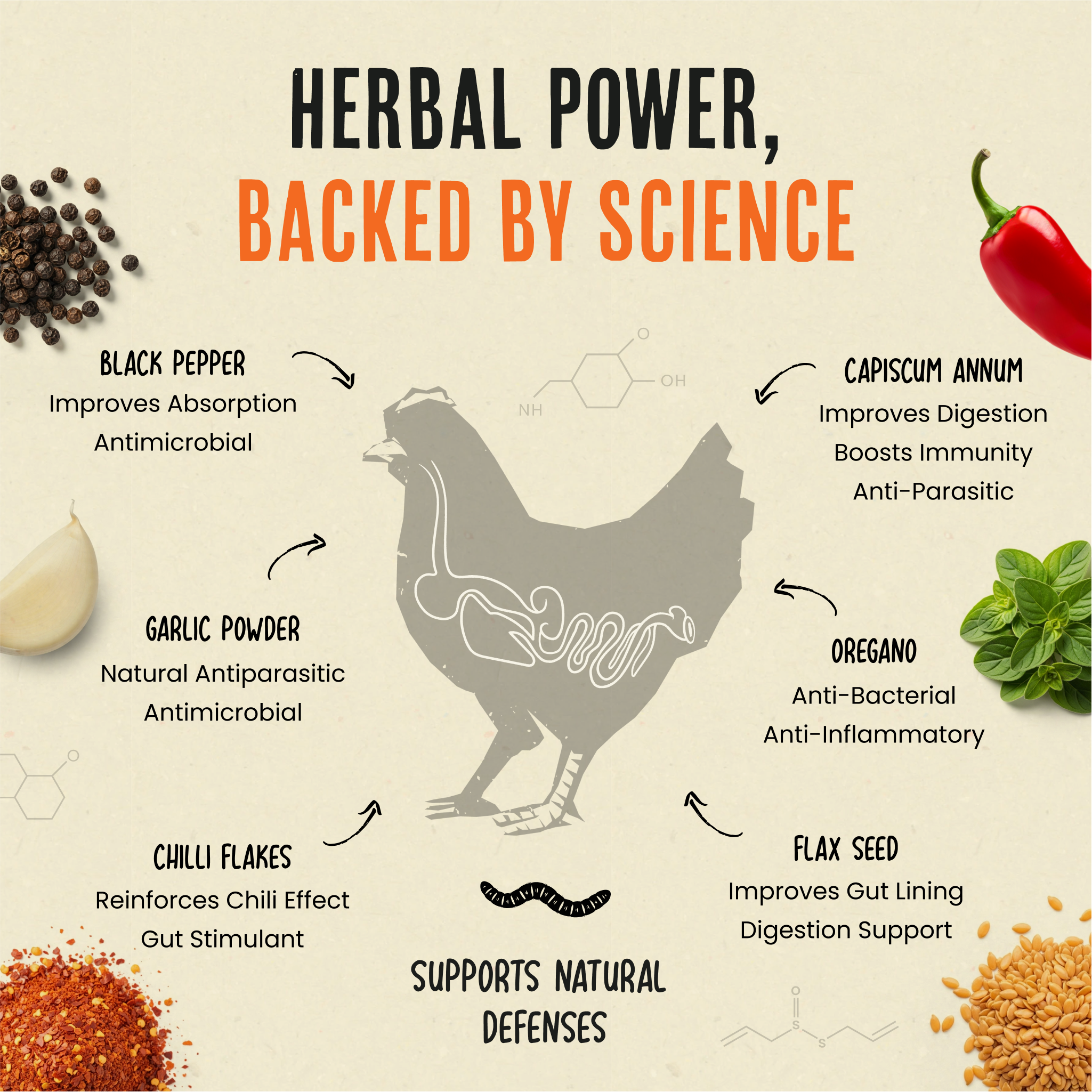 Daily Deworm + Gut Support