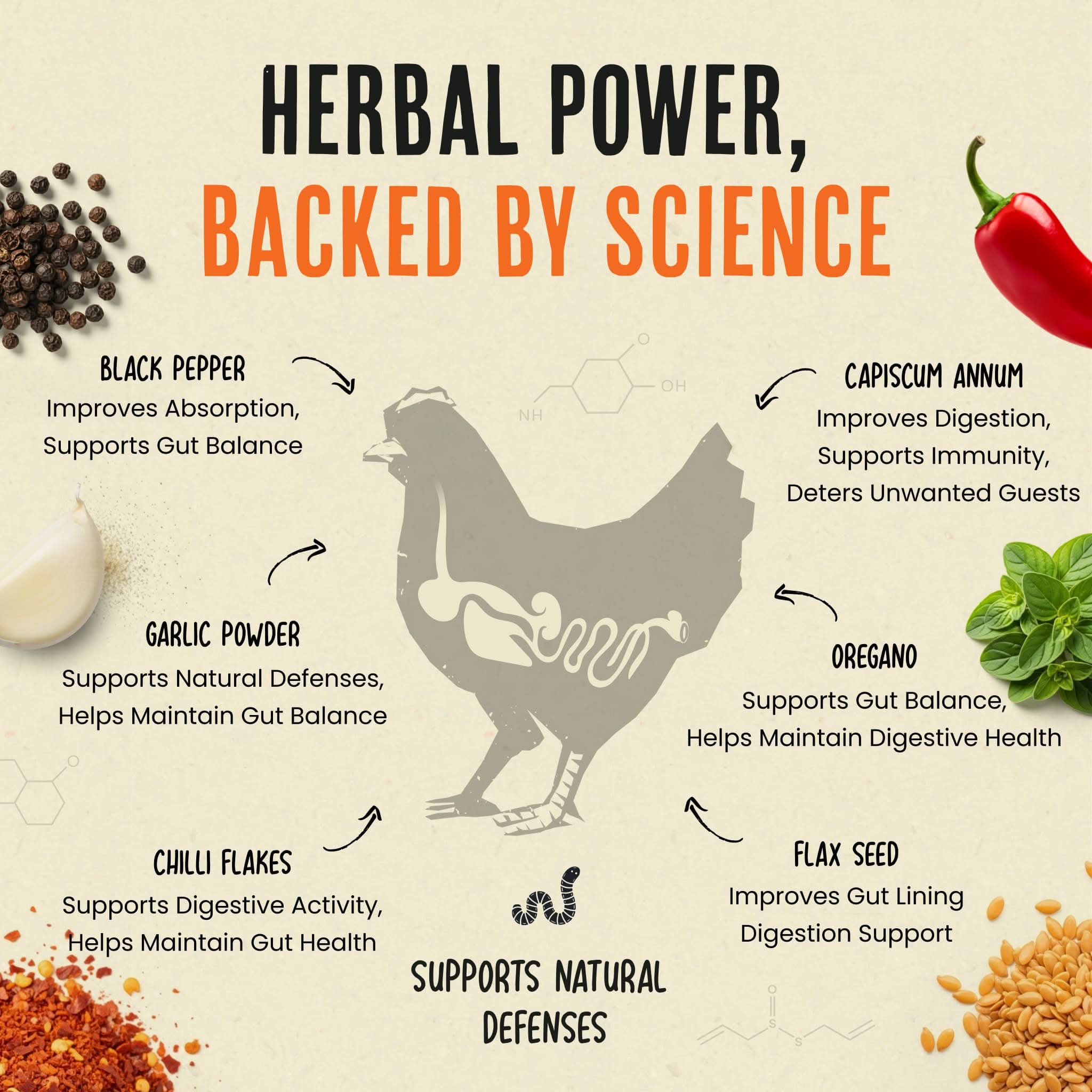 Desparasitante para pollos 100% natural: mantenga a sus gallinas en forma y libres de lombrices.