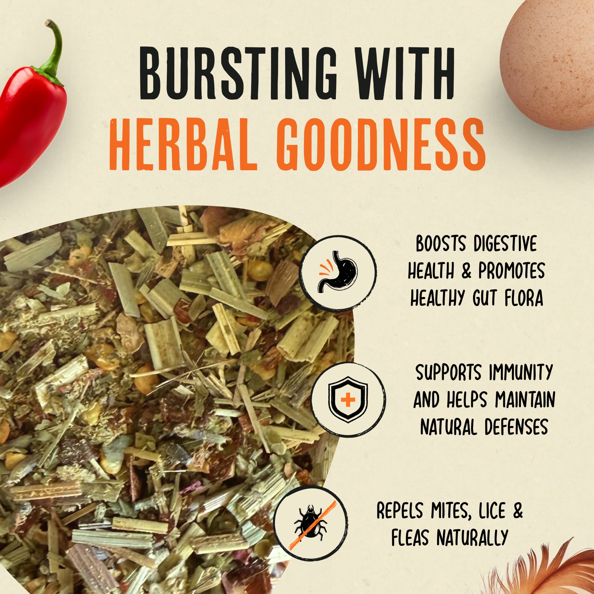 Nesting Herbs - Natural Support for Clean Coops & Healthy Hens