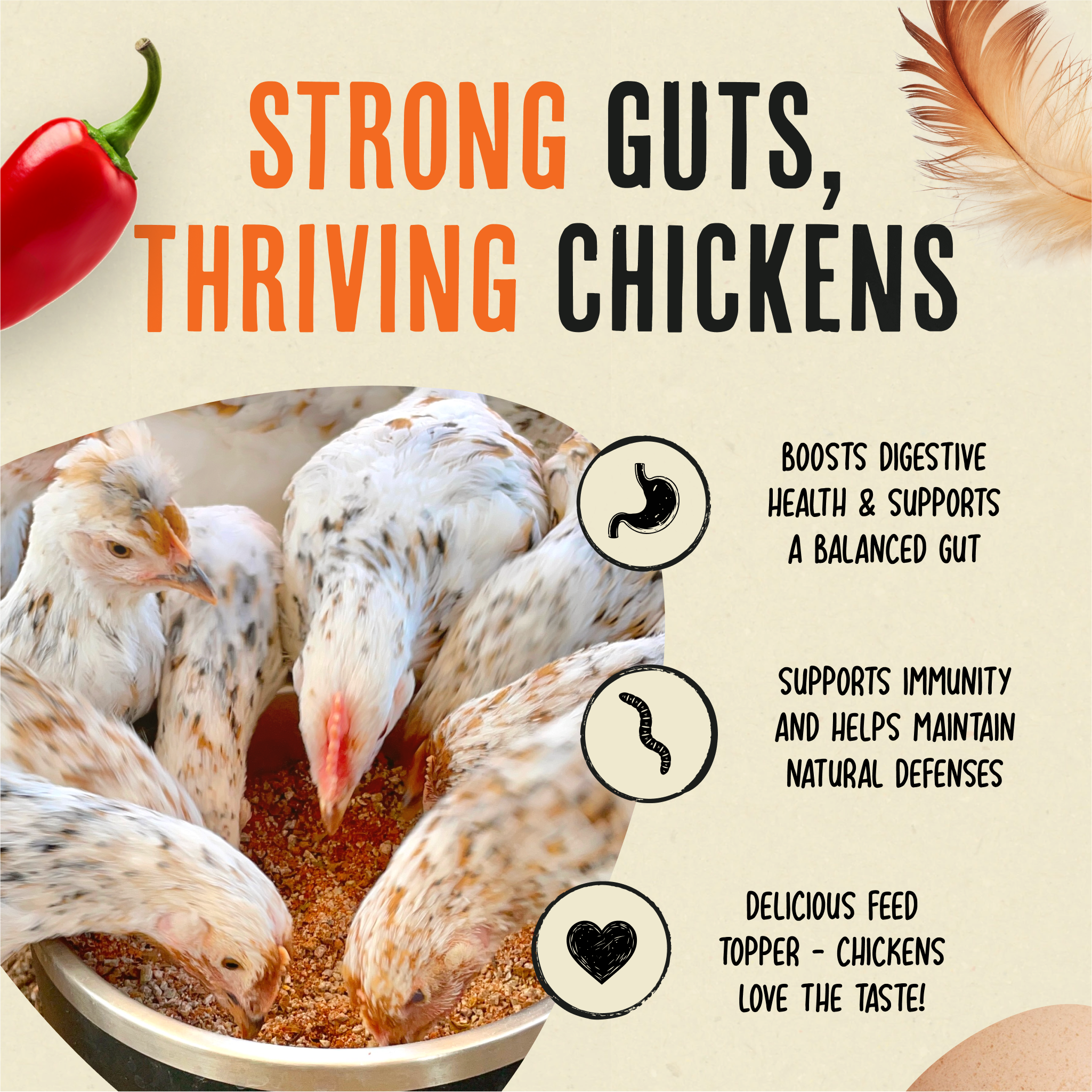 Daily Deworm + Gut Support