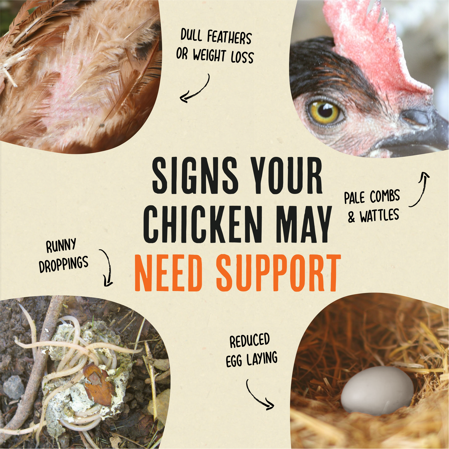 Daily Deworm + Gut Support