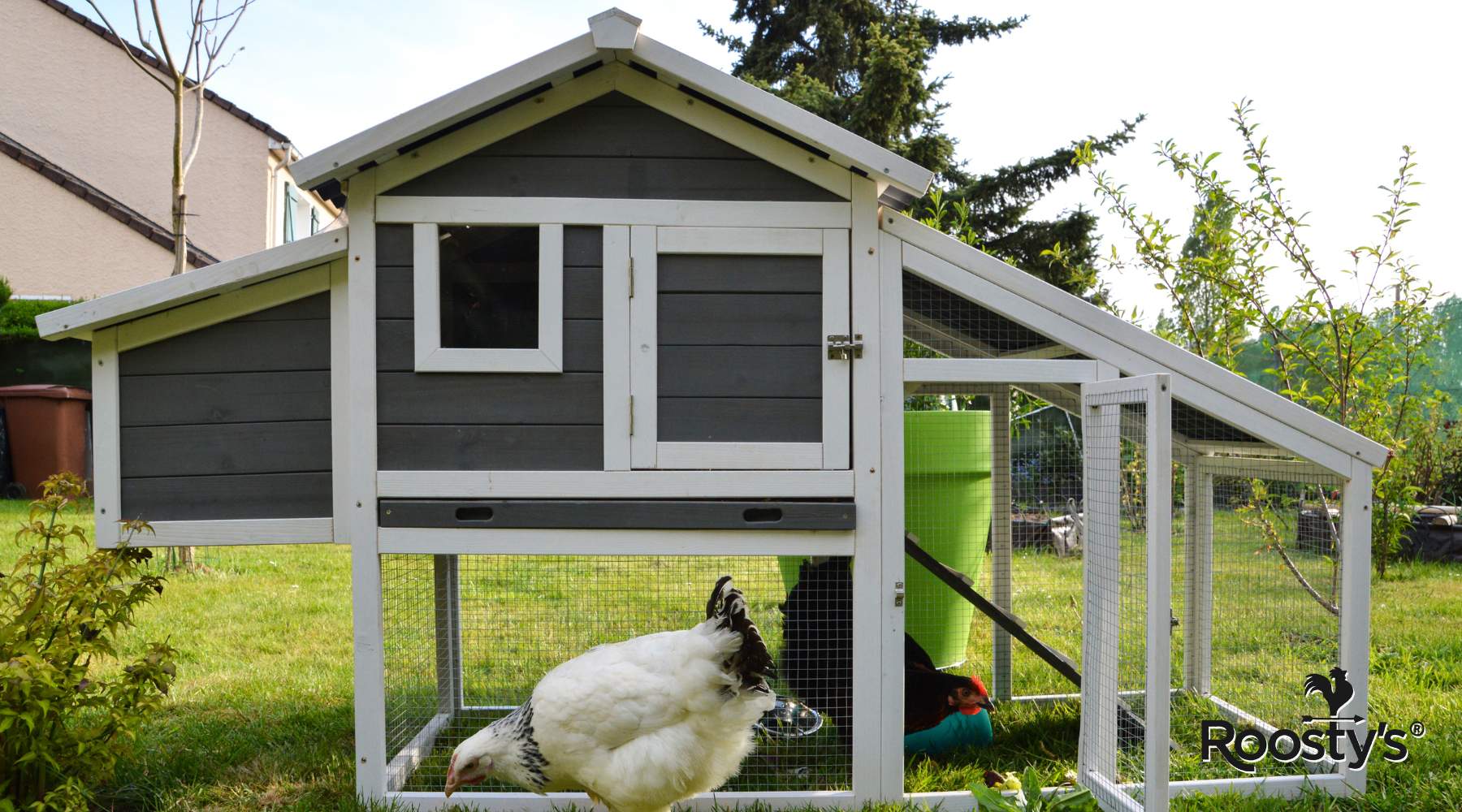 Affordable Chicken Coop Ideas: Budget-Friendly Solutions for Your Flock