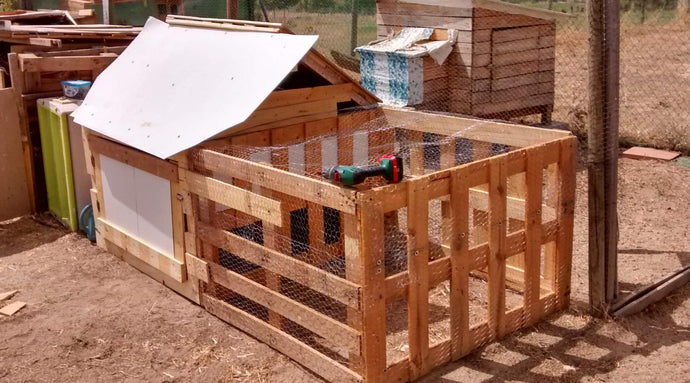 DIY Chicken Coop Made with Pallets