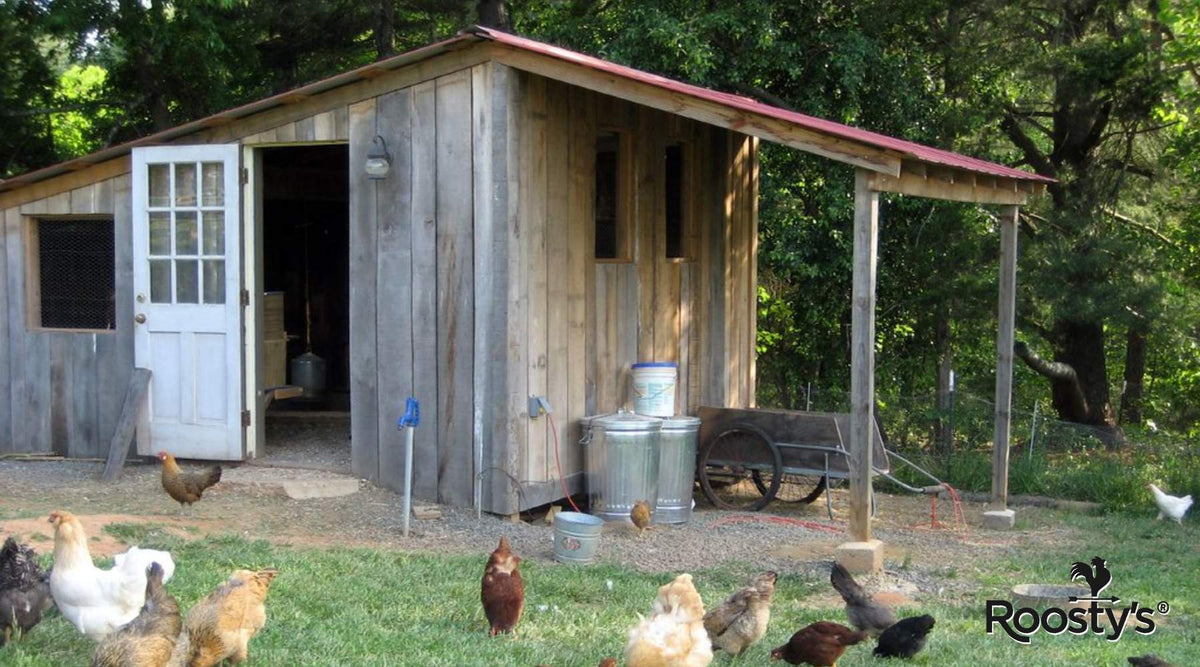 Build A Chicken Coop: A Step-by-Step Guide For Beginners – Roosty's