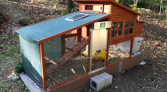 The Best Automatic Chicken Coop Door