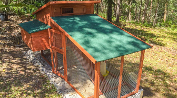 How Much is a Chicken Coop? Find the Perfect Coop for your Flock