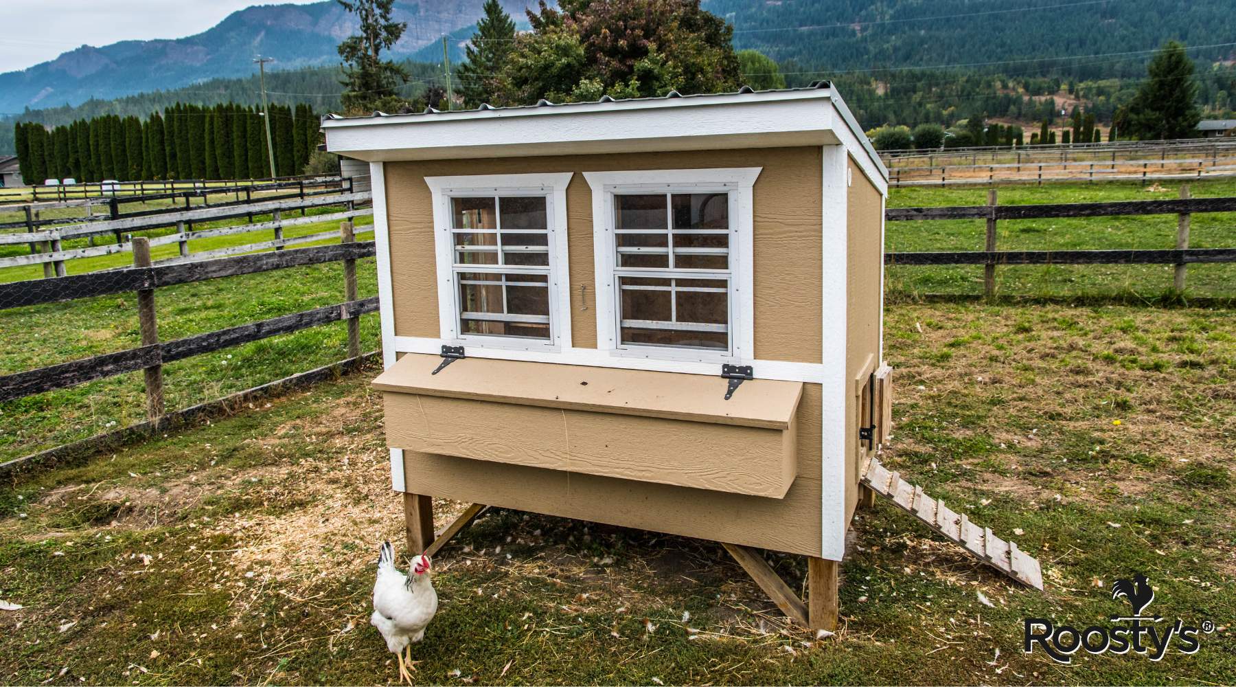 Lime for Chicken Coop: The Ultimate Guide to Keeping Your Poultry Healthy