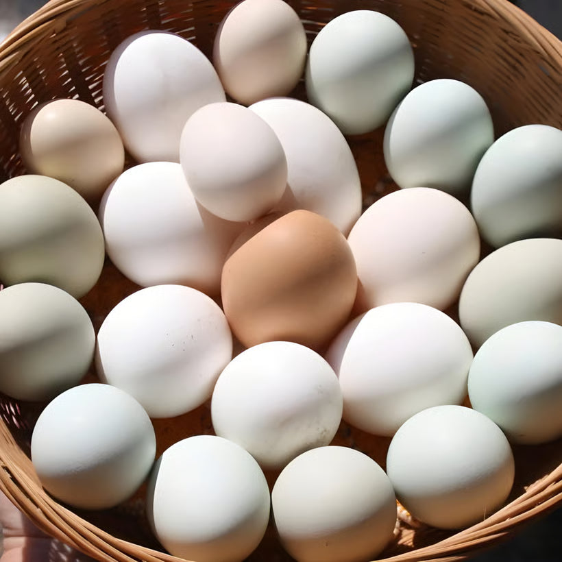 A basket of eggs that cannot be used