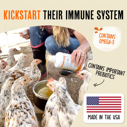 Boost digestive health & flock immunity, naturally - Immunity & Digestion Booster