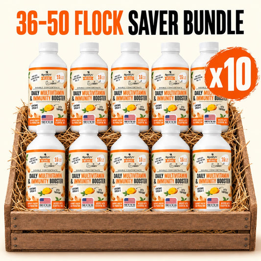 36–50 Flock Size – Winter Immunity Saver Bundle (10 Bottles)