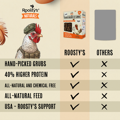 Black Soldier Fly Larvae - 40% higher protein than mealworms