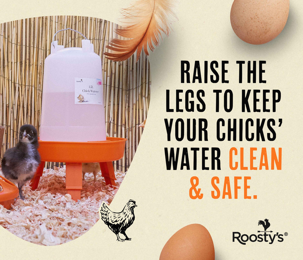 Roosty's Chick Feeder & Drinker Set
