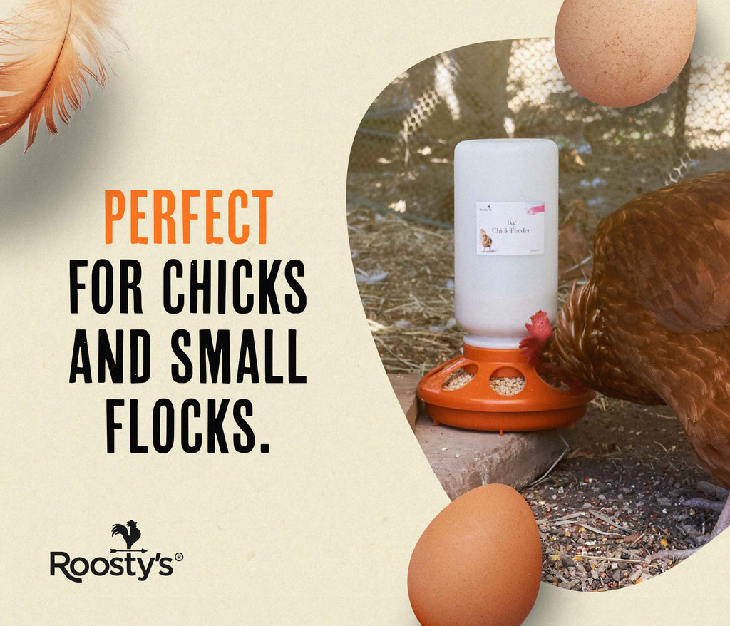 Roosty's Chick Feeder & Drinker Set