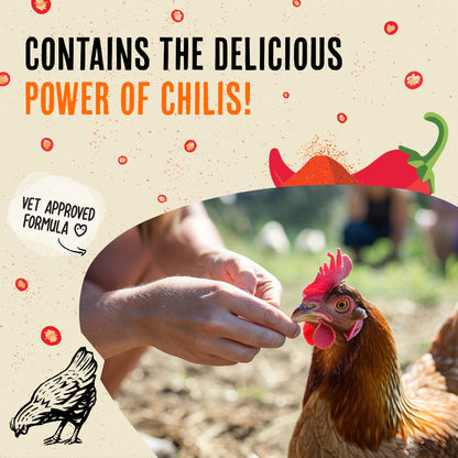 Chicken Dewormer - Chili Mix | 1LB Pouch