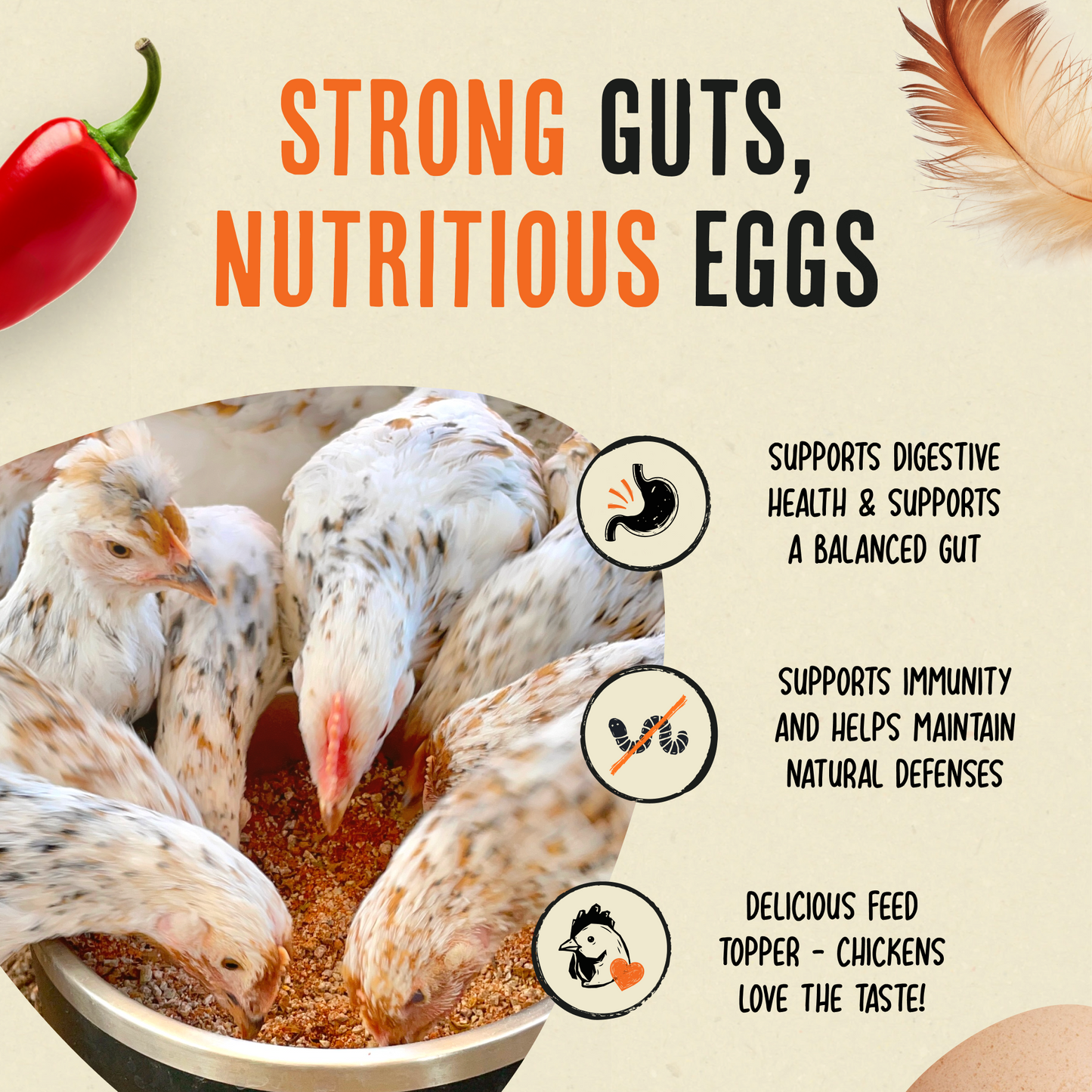 Desparasitante para pollos 100% natural: mantenga a sus gallinas en forma y libres de lombrices.