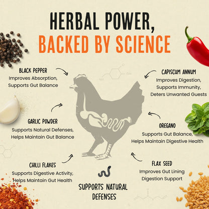 Desparasitante 100% natural para pollos: mantén a tus gallinas en forma y libres de lombrices.