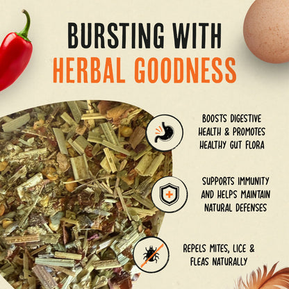 Nesting Herbs - Natural Support for Clean Coops & Healthy Hens