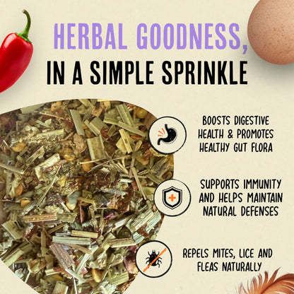 Nesting Herbs - Natural Support for Clean Coops & Healthy Hens