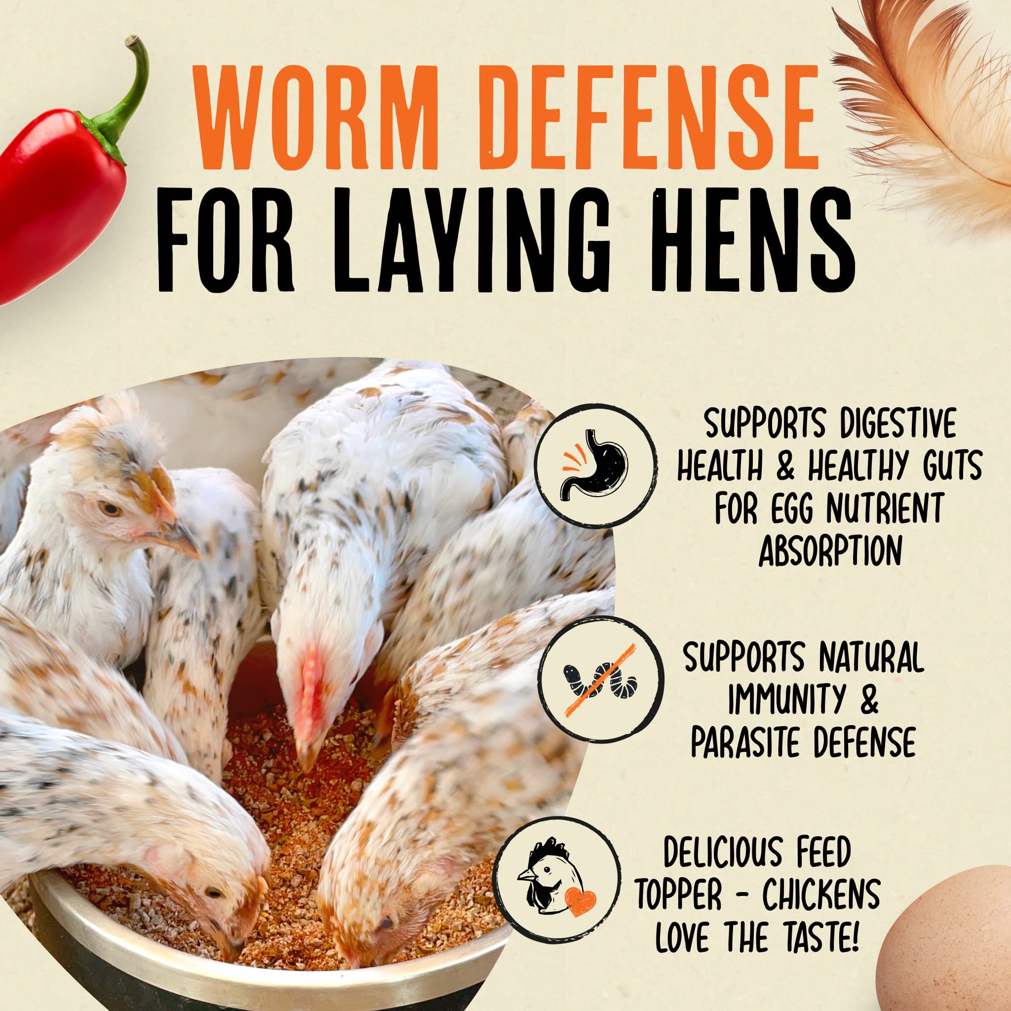 Desparasitante para pollos 100% natural: mantenga a sus gallinas en forma y libres de lombrices.