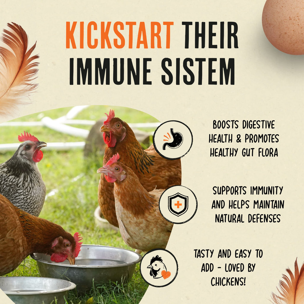 36–50 Flock Size – Winter Immunity Saver Bundle (10 Bottles)