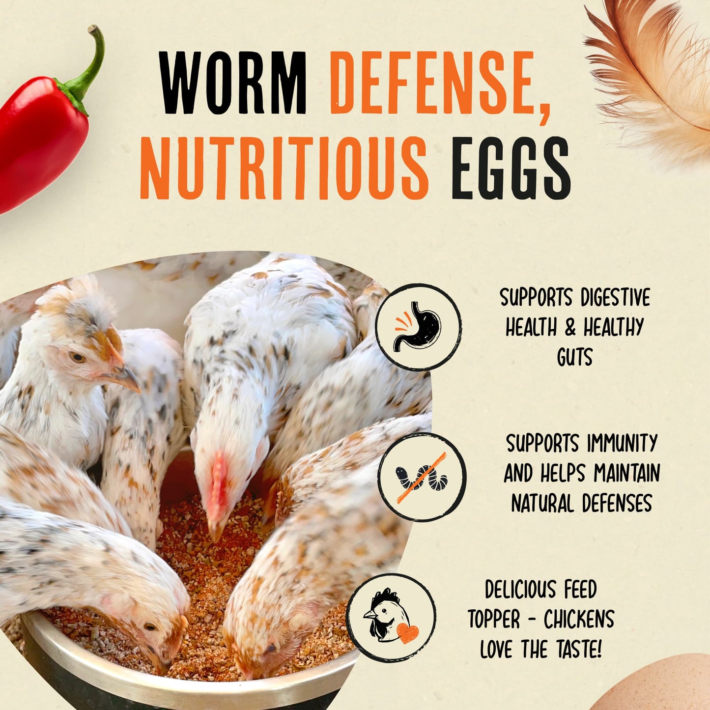 Desparasitante 100% natural para pollos: mantén a tus gallinas en forma y libres de lombrices.