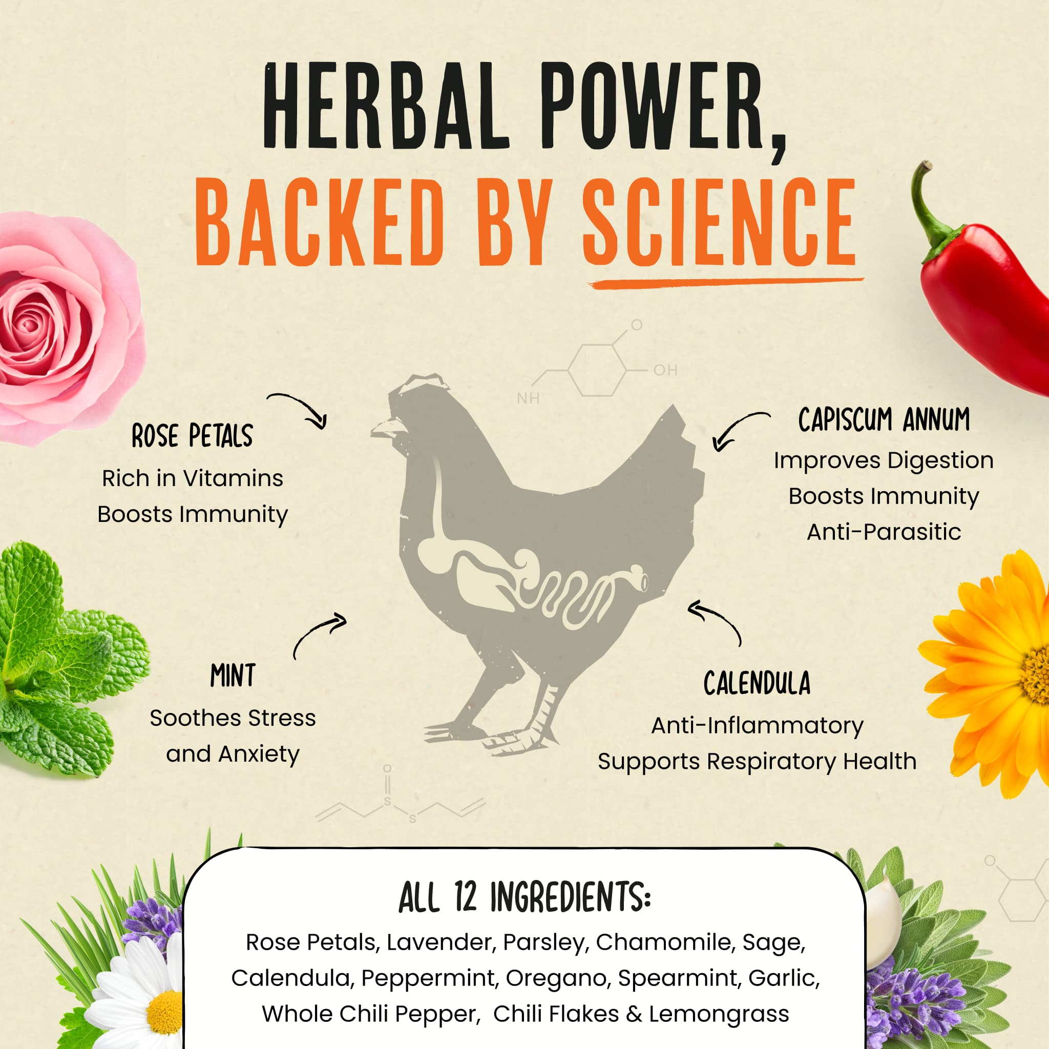Nesting Herbs - Natural Support for Clean Coops & Healthy Hens