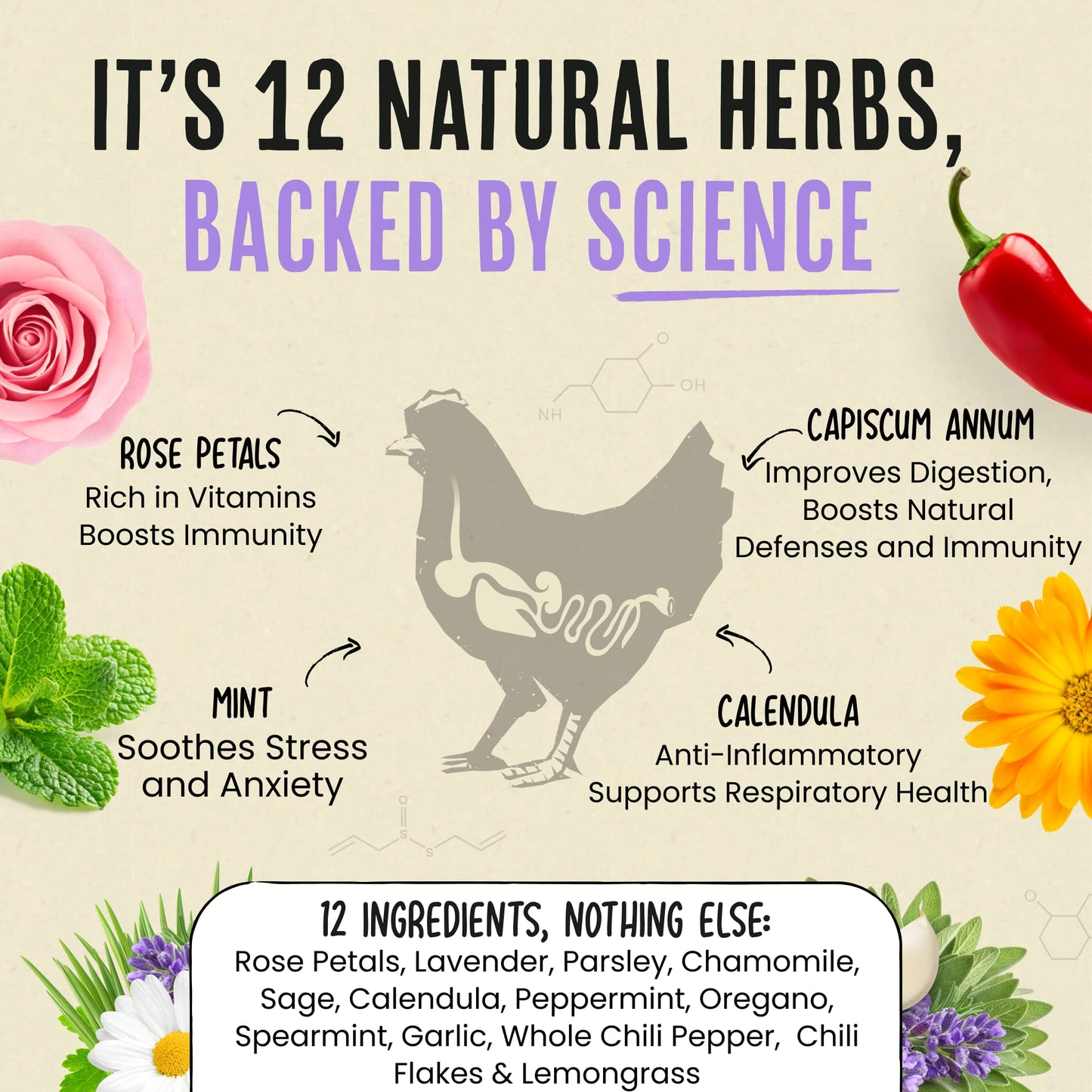 Nesting Herbs - Natural Support for Clean Coops & Healthy Hens