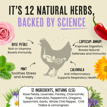 Nesting Herbs - Natural Support for Clean Coops & Healthy Hens