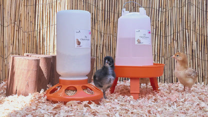 Original Chick Feeder & Waterer Set